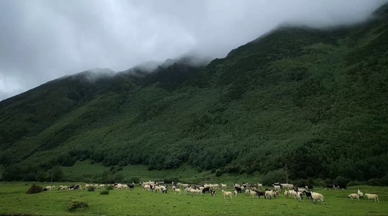 如何選擇適合自己的研學(xué)旅行及選擇研學(xué)機(jī)構(gòu)的標(biāo)準(zhǔn)是什么？