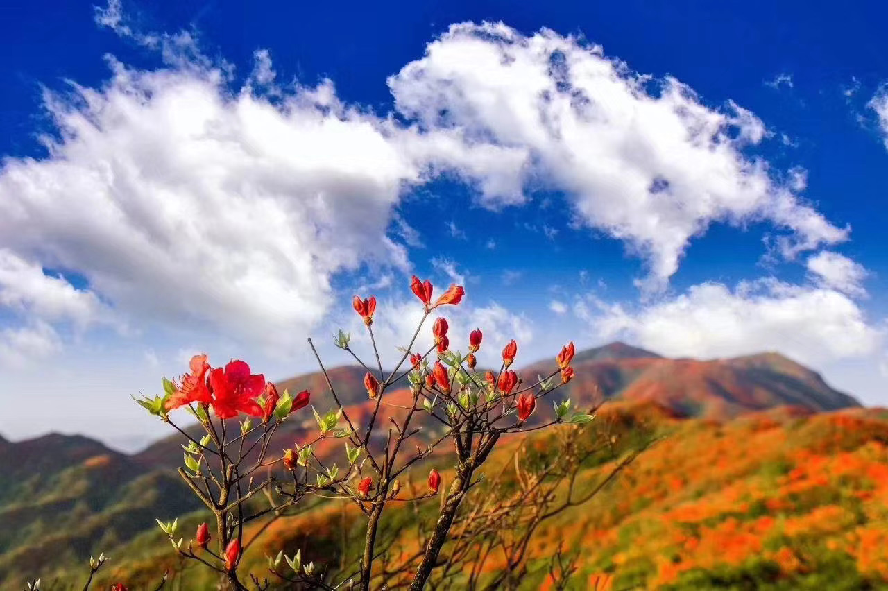 快！暑假夏令營(yíng)要去云南大理啦