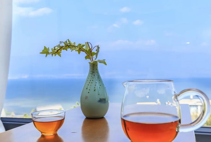夏令營的起源是什么？