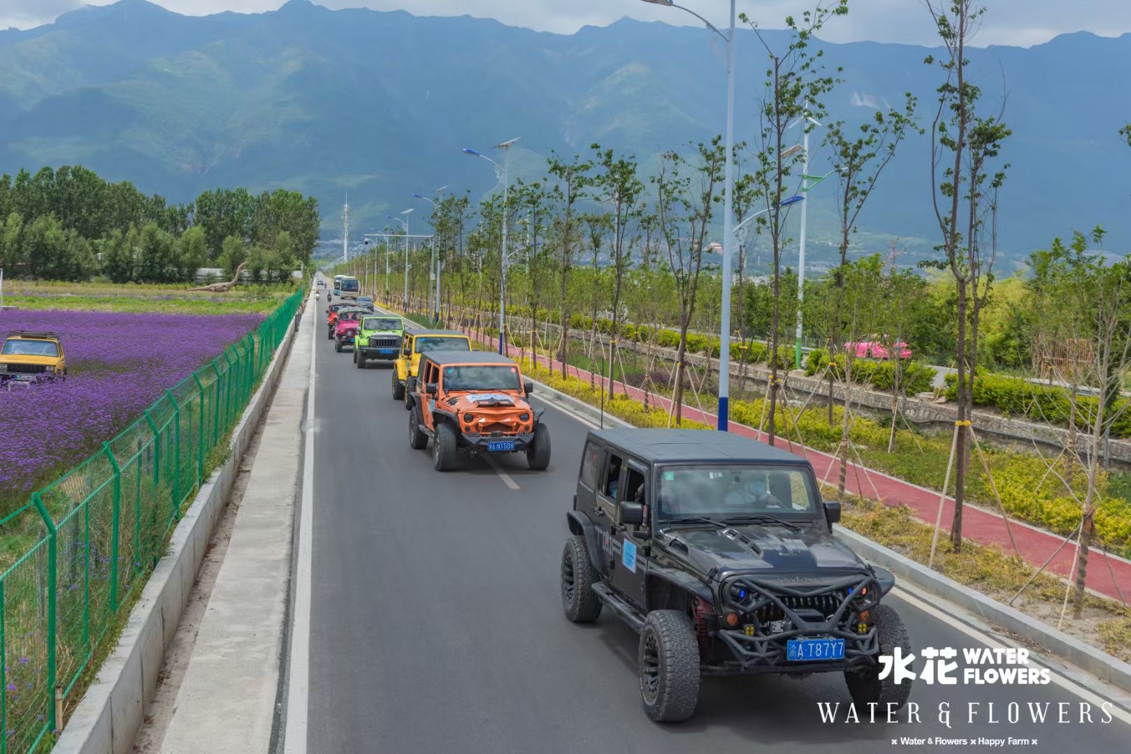 大理水花莊園吉普車(chē)旅拍試駕基地
