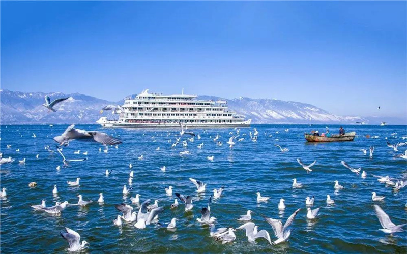 大理旅游 去表白吧！在大理這些美麗的湖畔