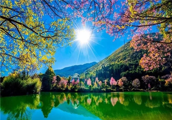 蝴蝶泉邊：邂逅超越時(shí)代的古老愛(ài)情，浪漫與幸福觸手可及