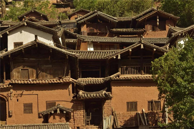 鄉(xiāng)愁大理丨諾鄧大青樹下，宿進(jìn)青蔥歲月，眺望巨木蒼天