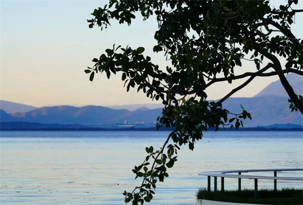大理策劃公司:海舌，洱海邊的“寶藏公園”