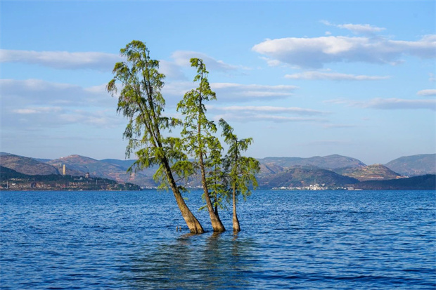 云南旅游,云南旅行社,云南團(tuán)建公司,云南策劃公司,云南會議會展,云南旅游地接,大理旅游,大理旅行社,大理團(tuán)建公司,大理策劃公司,大理會議會展：避暑，為什么要去大理？