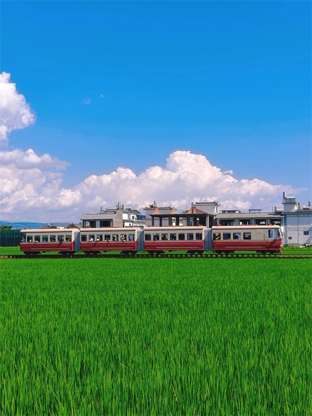 大理旅游,大理旅行社,大理團(tuán)建公司,大理策劃公司,大理會議會展,云南旅游,云南旅行社,云南團(tuán)建公司,云南策劃公司,云南會議會展：坐上喜洲稻田小火車，一秒進(jìn)入動漫畫卷