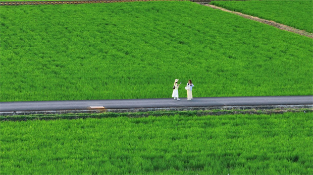 云南旅游,云南旅行社,云南團(tuán)建公司,云南策劃公司,云南會議會展,大理旅游,大理旅行社,大理團(tuán)建公司,大理會議會展：去大理，坐上那趟心愛的小火車